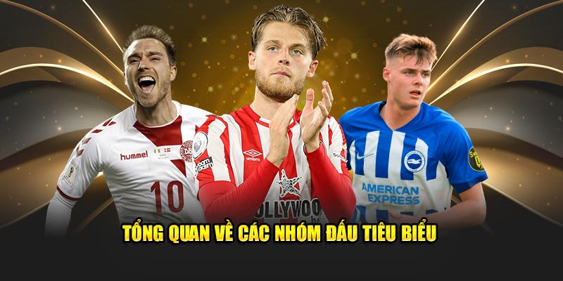 Tổng quan về các nhóm đấu tiêu biểu